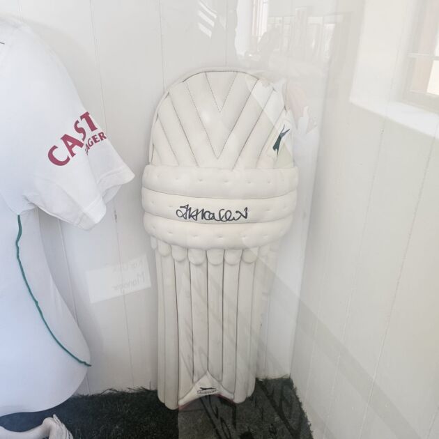 Leg pads
