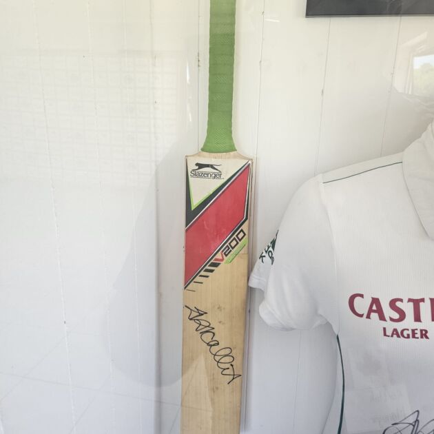 Cricket bat