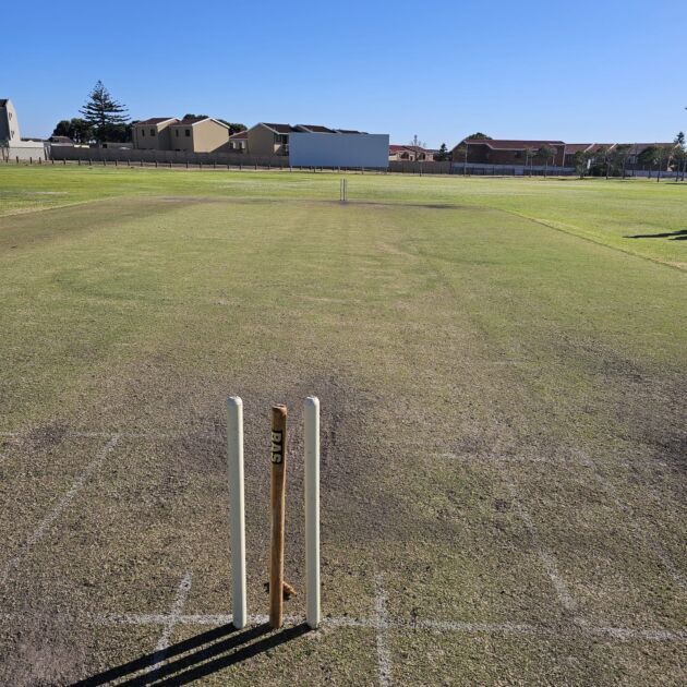 Cricket bails